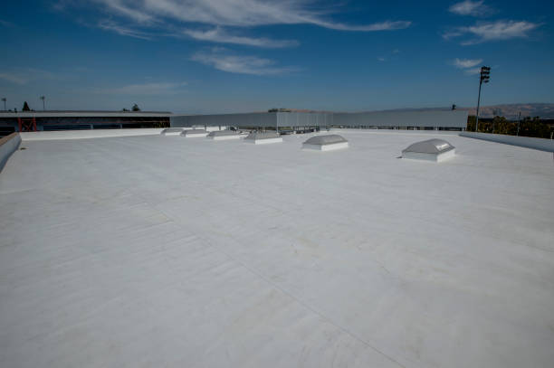 Best Asphalt Shingles Roofing  in Radium Springs, NM